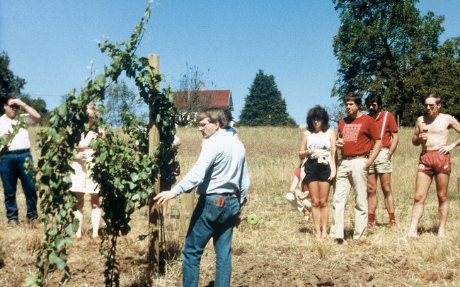 People standing in the vineyard listening to instruction from vineyard owner