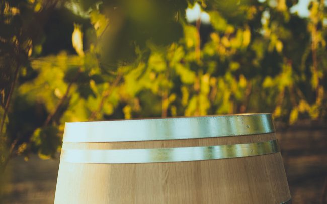 Barrel in the vineyard
