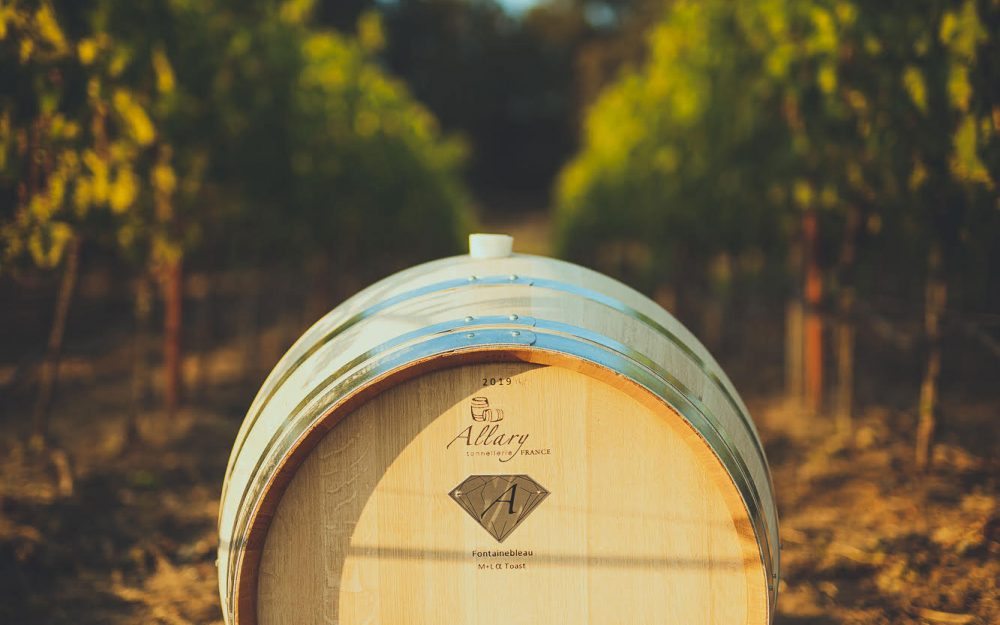Allary barrel in the vineyard